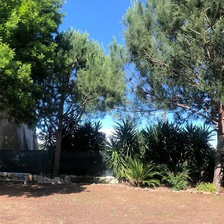 Vakantiehuis Palmina Porto Azzurro